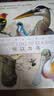 【赠2张装裱画】【豆瓣高分】何以为鸟 （西布利）鸟类行为纪实 观鸟指南 科学观鸟手册 精美手绘图 中国国家地理京东自营旗舰店书籍科普图书畅销书籍 实拍图