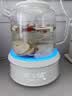 GLASSLOCK盖朗养生壶全玻璃恒温母婴级0胶水0塑料接触调奶器泡奶壶办公室煮花茶器煎中药烧水壶1.5L 实拍图