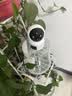 奥克斯1200万像素摄像头监控无线wifi网络高清夜视监控器360度无死角带夜视全景云台家用AI监控手机远程 实拍图