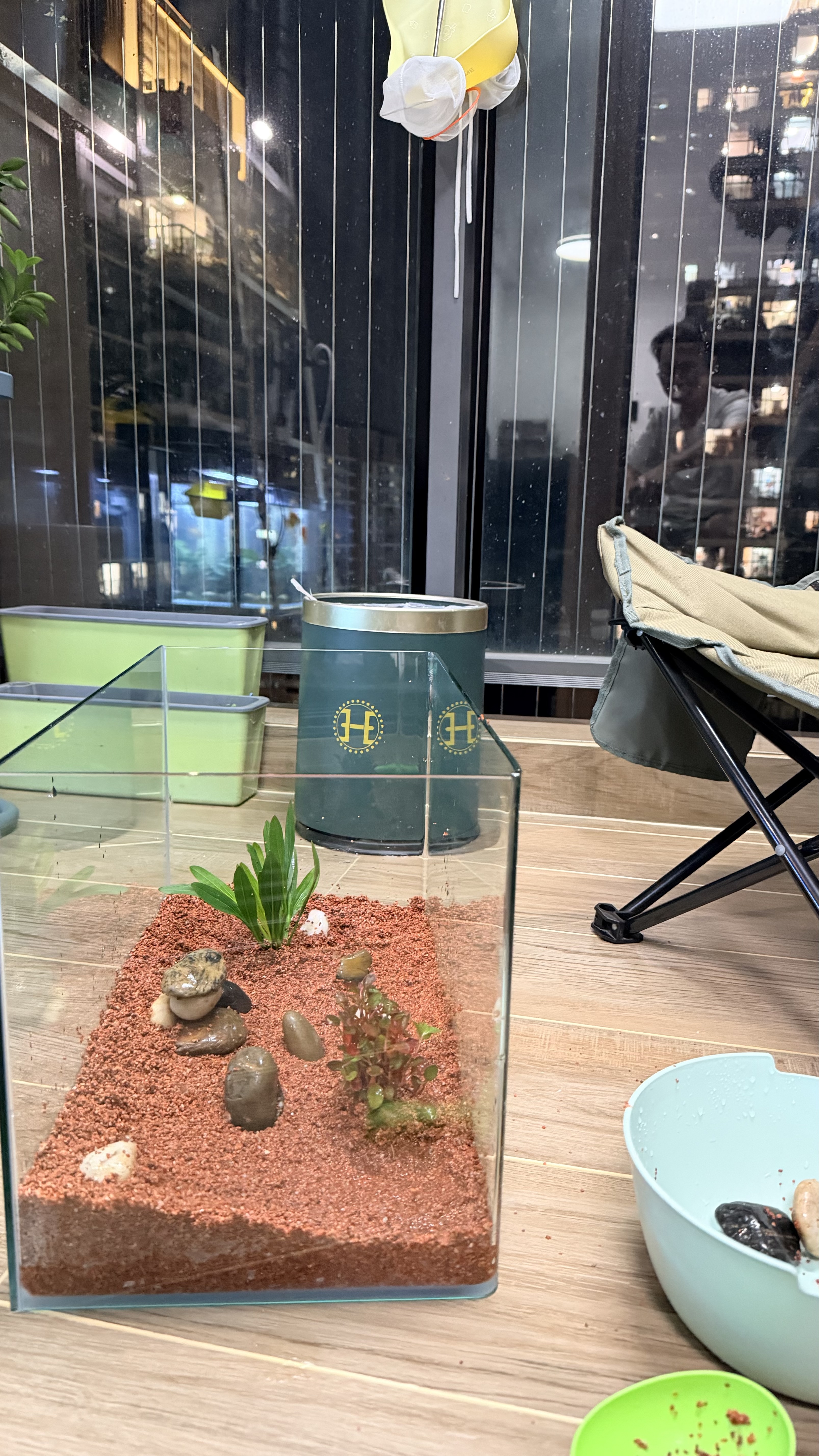 疯狂水草樱桃红雨林砂5斤装1.0-2.0mm鱼缸造景底砂 鱼缸底部沙石 鱼缸底沙 实拍图