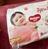 好奇（Huggies） 铂金装拉拉裤 婴儿成长裤轻薄透气小桃裤尿不湿训练裤 云感舒爽 成长裤L50片【9-14kg】 实拍图