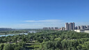 网易严选冰箱除味盒大大盒 抑菌清洁除味剂除臭剂重异味除菌 实拍图