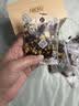 贡苑赤小豆薏米茯苓芡实茶270g 三蒸三晒炒熟健袪脾茶湿包养胃养生茶 实拍图