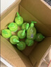 蓝月亮洗手液抑菌99.9%300g*12瓶整箱 芦荟泡沫丰富儿童办公室商用7.2斤 实拍图