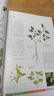 常见花草轻图鉴  精选170多种常见花草，近1000幅精美彩图，全面图解，详细介绍 实拍图