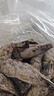 禧美海产鲜冻大号黑虎虾 净重3斤装 45-60只/盒 单冻大虾 海鲜 烧烤食材 实拍图