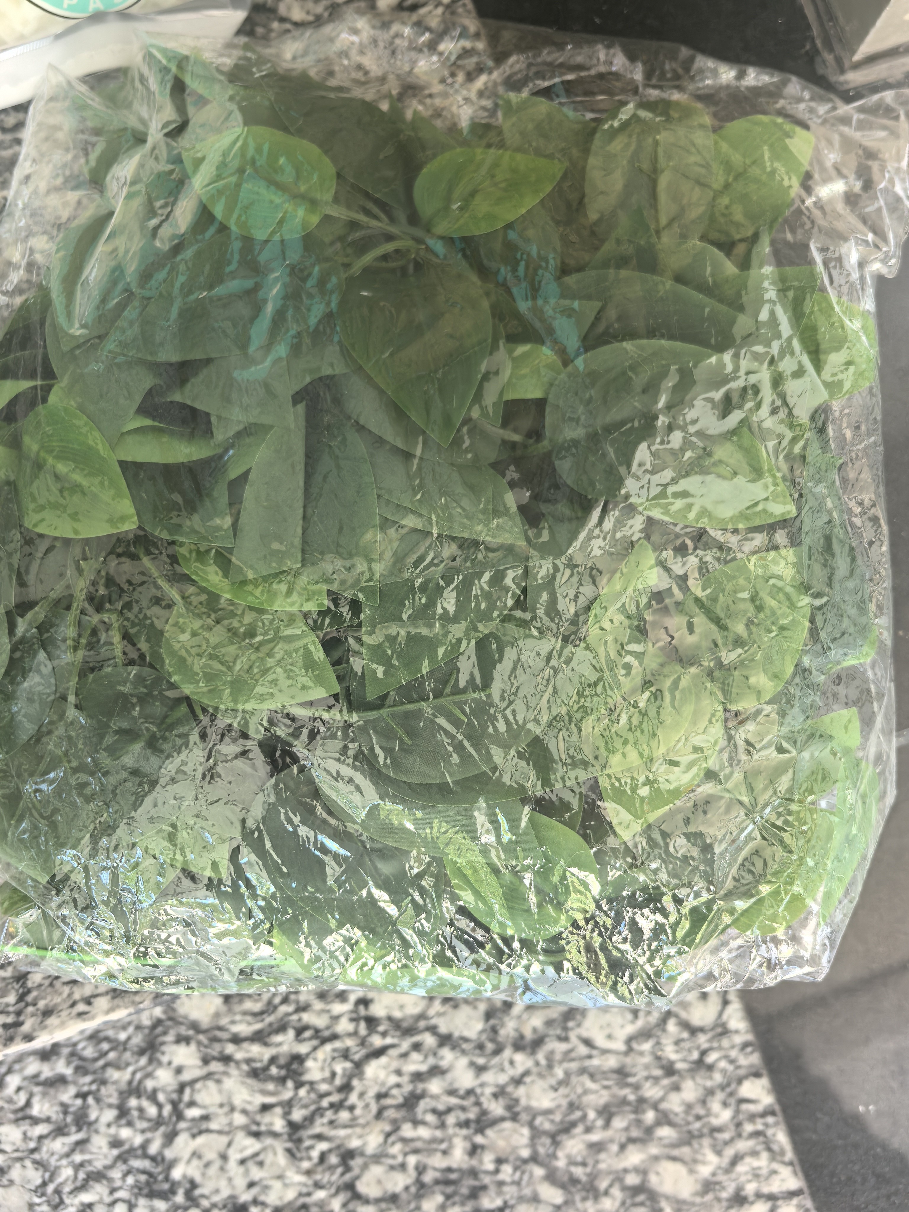 双盟仿真藤条绿萝叶婚庆节庆装饰假树叶藤蔓塑料花藤下水管道遮挡绿叶 实拍图