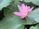 索盈【血糖尿酸一体机】测血糖血压监测手表测心率血氧血脂无创血糖仪免扎针智能健康运动睡眠手环家用 实拍图
