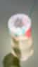 悠梵萌户外捕鱼瓶塑料倒须抓鱼神器池塘水库小溪河流亲子互动捕鱼5个装 实拍图