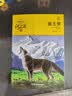 动物小说大王沈石溪品藏书系新版（黄绿特辑套装共12册）小学生课外书  实拍图