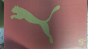彪马（PUMA）厚底鞋|增高经典小白鞋女夏季休闲板鞋CARINA 389390 白-白-金色-01 37 实拍图