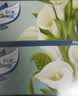 舒洁（Kleenex）抽纸马蹄莲盒装纸抽2层200抽*3盒纸巾抽纸卫生纸餐巾纸擦手纸 实拍图