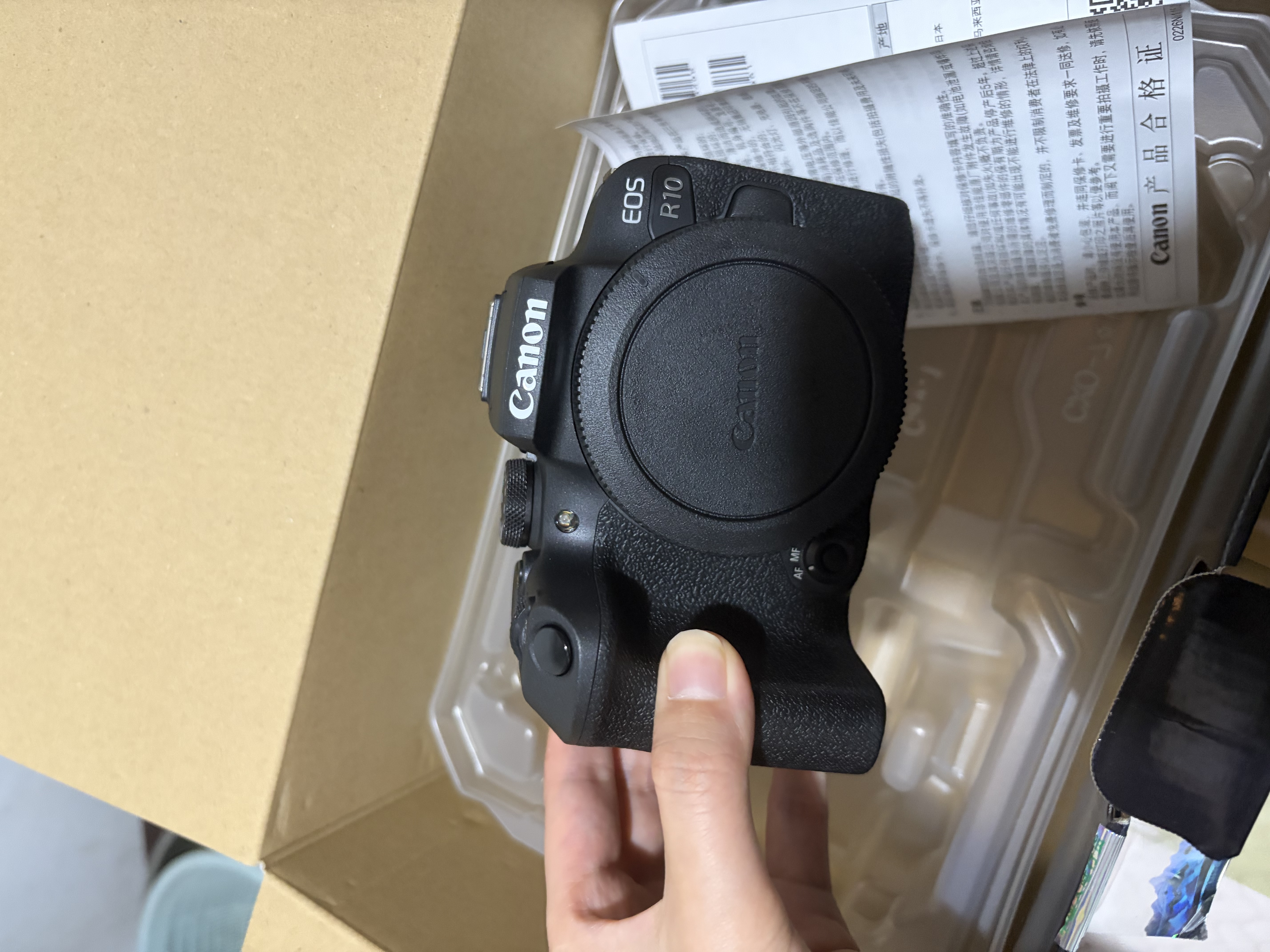 佳能（Canon）佳能R10 入门级微单相机 eos r10半画幅无反 Vlog拍摄 4K高清视频 学生旅行家用 扫街旅拍套装 实拍图