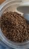 雷米高（RAMICAL） 猫粮猫猫主食主粮幼猫成猫海洋鱼味全价猫粮500g*5 实拍图