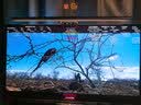 泰坦军团 26.5英寸 QD-OLED镜面屏 五层串联技术 4K 165Hz 10bit DeltaE<1硬件低蓝光 AI电竞显示器 G2785V 实拍图