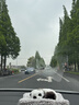 邓禄普轮胎2条包安装 205/55R16 91V VEURO VE302 适配朗逸/速腾/雷凌 实拍图