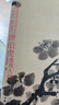 唐伯虎传 孙炜 著 明代才子唐伯虎 明史 中信出版社 实拍图
