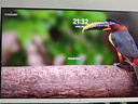 KTC27英寸4K 160Hz双模320Hz满血HDMI2.1显示屏Type-c 90w办公HiDPI逐台校色电脑显示器 非凡P6 实拍图