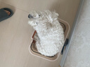 HELLOJOY狗厕所中型小型犬专用防踩屎便盆尿尿盆非不锈钢大小便神器狗砂盆 实拍图