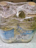 金龙鱼 食用油 葵花籽清香型食用植物调和油5L*4 实拍图