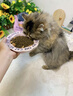 麦富迪猫粮 barf霸弗天然猫粮冻干生骨肉高蛋白成猫粮养胃增肌牛肉5.4kg 实拍图