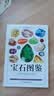 宝石图鉴+矿物与岩石图鉴（全2册） 实拍图