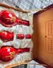 郎酒红花郎10+顺品郎金盖双支 酱香型白酒 中秋礼品 实拍图