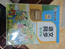 墨点字帖 2026年 五年级上册语文同步 笔顺笔画同步练字帖视频版 附赠听写默写本 人教版5年级课外阅读钢笔铅笔字帖楷书描红本偏旁部首拼音控笔训练字帖 （共2册） 实拍图