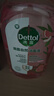 滴露（Dettol）衣物消毒液自然香氛洗衣除菌液 除螨除异味去汗臭48h留香1000ml*1 实拍图
