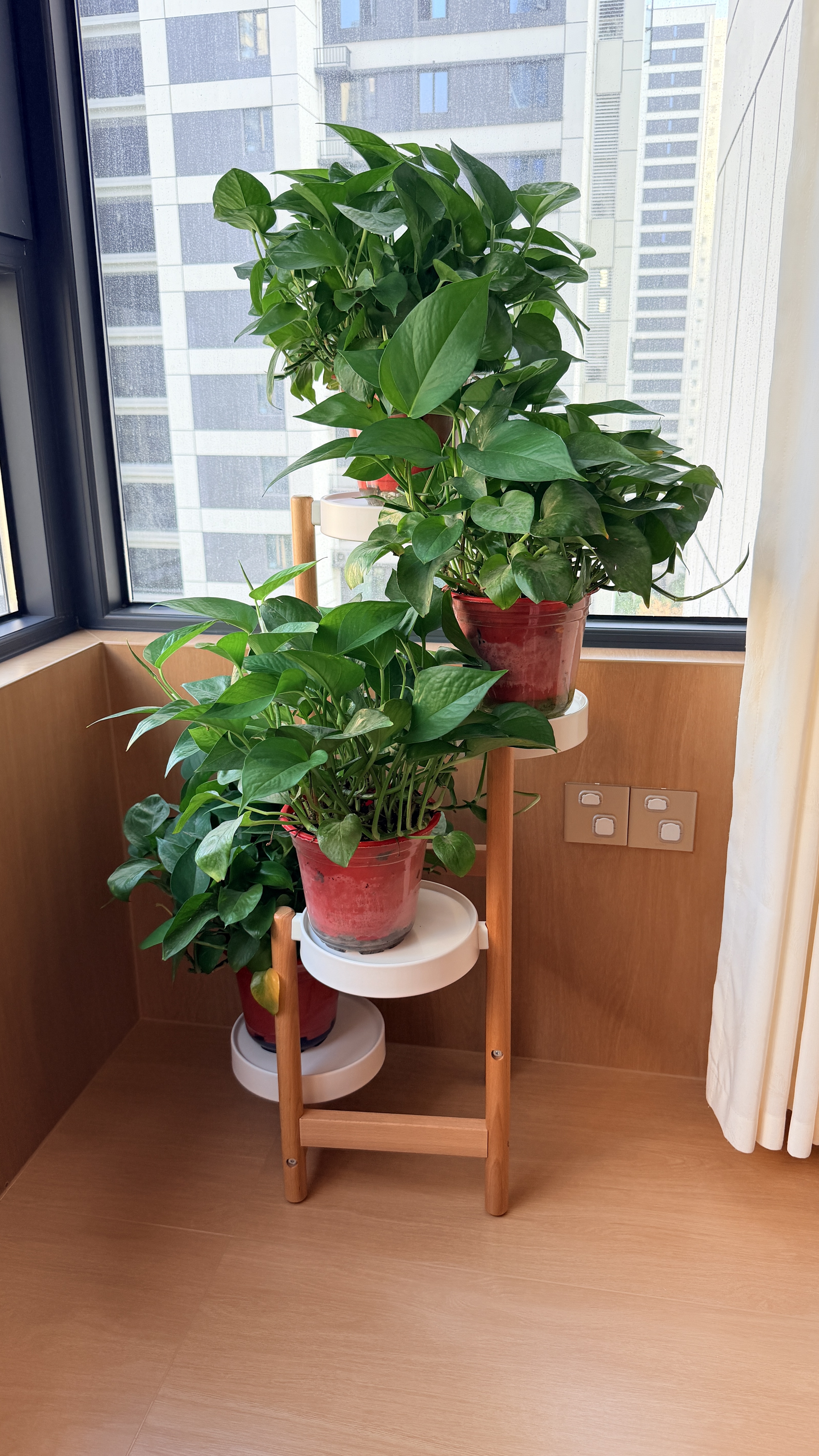 源氏木语全实木花架客厅层架置物架阳台花盆架托架简约多层花架子 【2】0.83米四层花架(444*444*830mm） 实拍图