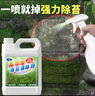 Lvbai青苔清除剂水泥地面专用青苔克星墙面苔藓藻类清洁2.6KG 实拍图
