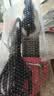 德力西电气（DELIXI ELECTRIC）热熔器家用ppr热容器电热熔机水管焊接机水电工程焊接器数显调温 实拍图