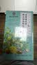 南同四海胖大海金银花罗汉果甘草菊花茶咽炎吸烟喉护嗓子雪梨枇杷清润肺茶 实拍图