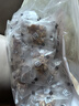 贡苑姜枣茶350g陈皮生姜红枣茶无红糖驱寒暖胃独立茶包男女三伏养生茶 实拍图