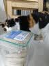 WEYES冻干鸡小胸500g桶装宠物猫狗零食肉干营养高蛋白适口性好 实拍图