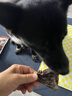 ZEAL狗狗宠物零食磨牙棒牛舌85g肉干骨头洁齿训练奖励新西兰进口 实拍图