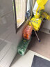 百事可乐七喜7UP 柠檬味 碳酸饮料汽水 2L*6瓶 整箱装 家庭宴会 实拍图