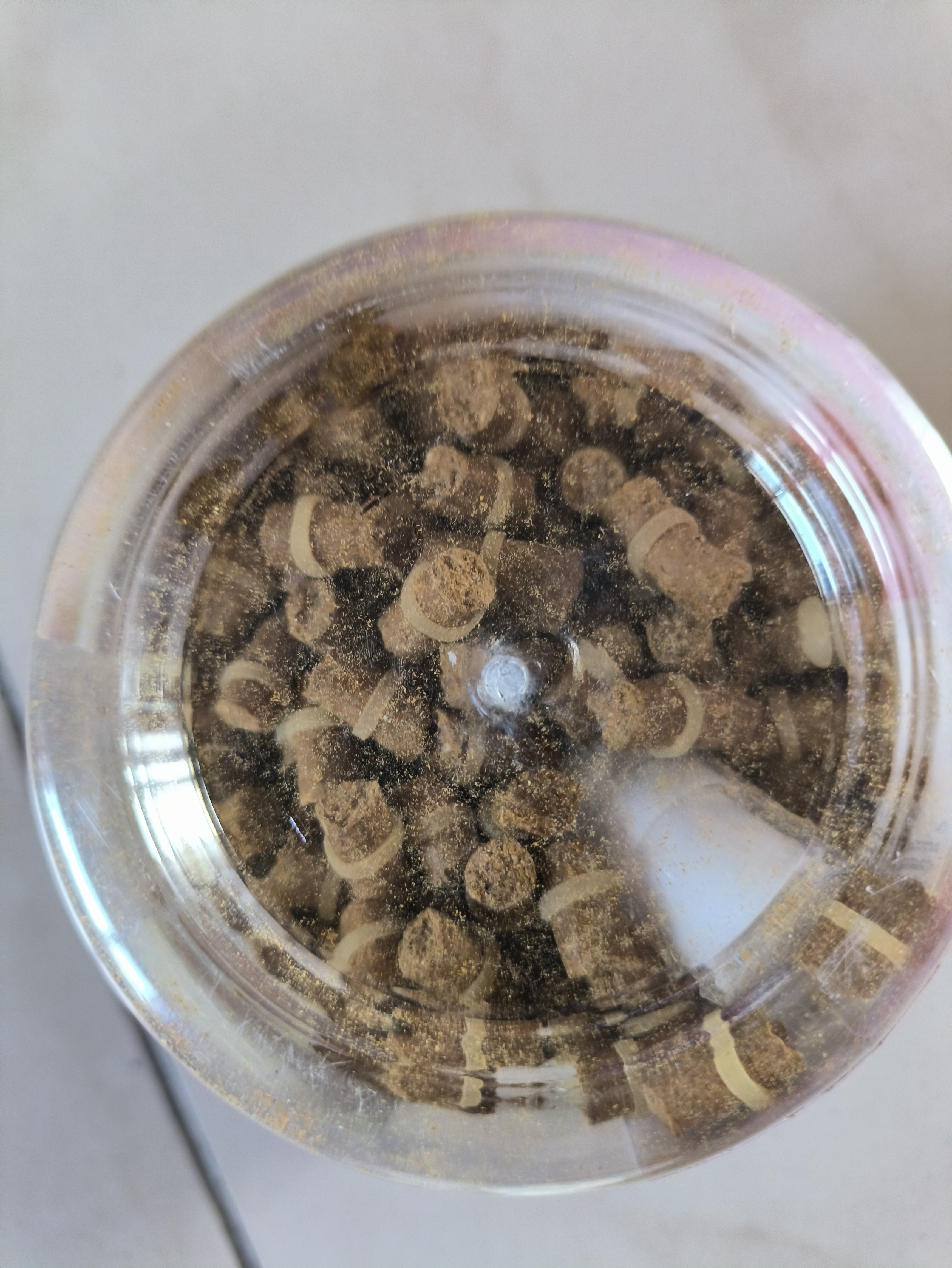 臻佑（Grsaed）鱼饵鲤鱼皮筋颗粒饵料组合红薯膏小药钓鱼饵料膨化配方钓饵渔具 实拍图