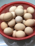 我老家新鲜大鹅蛋 农家自养土鹅蛋 现捡现发 鹅蛋6枚（140-160g) 实拍图