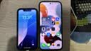 Apple苹果iPhone 17/16/15/14/13/12/11/X系列pro max air mini plus e二手手机 苹果 iPhone 13 mini 实拍图