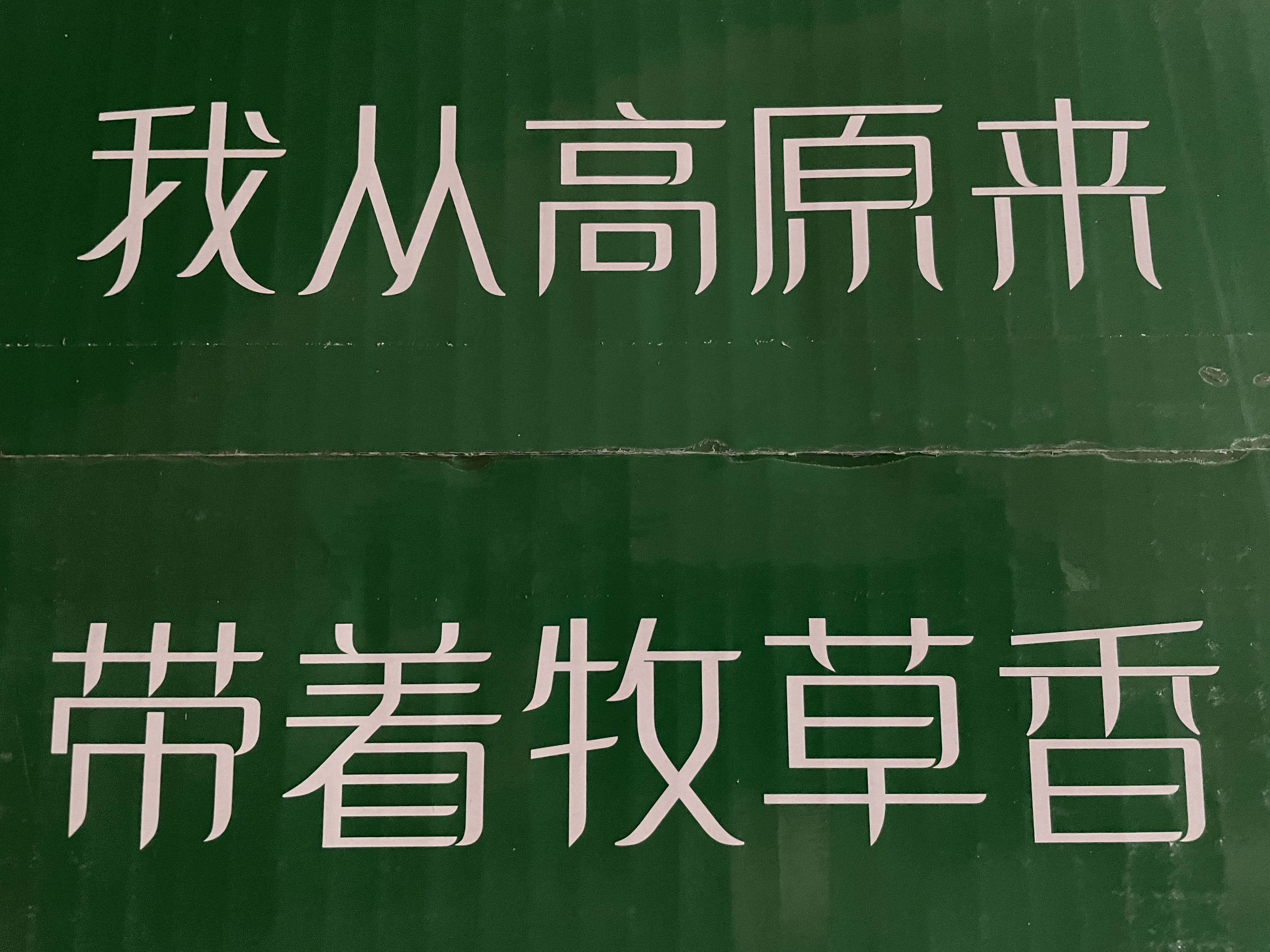 天牧圣品全脂纯牛奶200mlx20盒3.3g乳蛋白雪域高原儿童牛奶礼盒装 实拍图