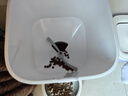 小佩智能自动喂食器SOLO白色 定时定量猫咪自动投食器(支持鸿蒙智联) 实拍图