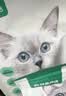 网易严选全价猫粮4.0 猫主粮成幼猫低敏无谷驼羊奶促吸收 鸡肉羊奶味1.5kg 实拍图