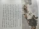 清明上河图:宋朝的一天（国宝名画超细读本 人人都能看清、读懂） 田玉彬 国画赏析 实拍图