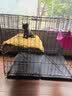 憨憨宠猫笼折叠猫笼子大号猫别墅加粗加密双层猫舍猫窝宠物猫咪用品家用 黑色 850双层 实拍图