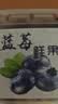 三只松鼠每日蓝莓干500g 蜜饯果干酸甜休闲零食下午茶孕妇儿童健康零食 实拍图