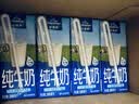 欧德堡（Oldenburger）3.8g优质蛋白 120mg高钙 全脂纯牛奶200ml*24盒 早餐奶 实拍图