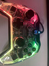 墨将墨将迅龙2星闪无线游戏手柄DW12C类xbox手柄支持PC/电脑steam怪物猎人荒野黑神话悟空游戏手柄 C1 Lite标准（PC+Swtich) 实拍图