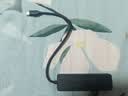 联想（Lenovo）Type-C接口USB3.0分线器hub转接器扩展坞USB扩展器延长线笔记本拓展坞转换器BY01C-3.0 (0.25M) 实拍图