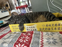 冠能猫粮7岁以上老年猫猫粮2.5kg 全价猫粮 延长健康生活时间 实拍图